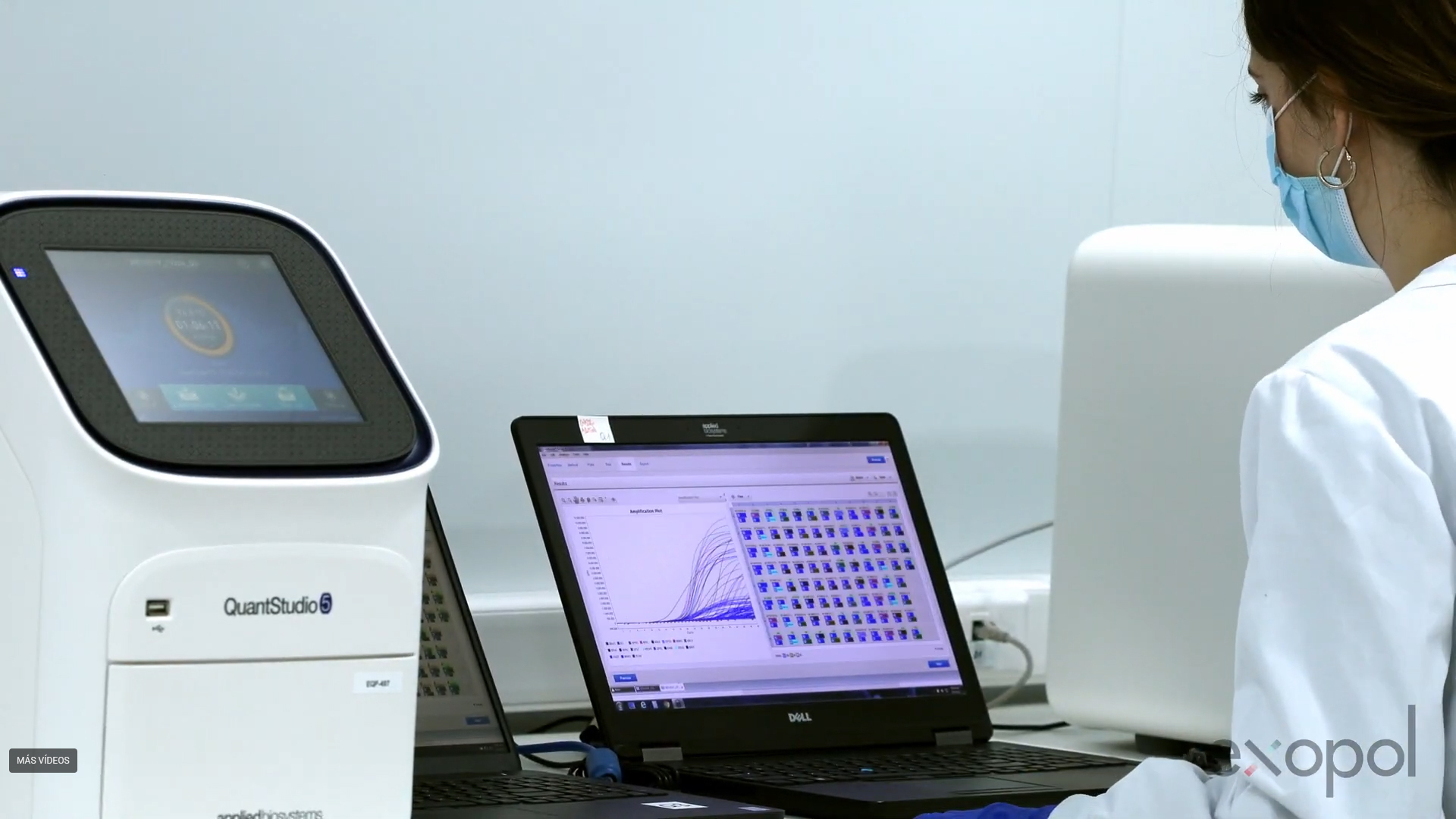 QuantStudio real-time PCR