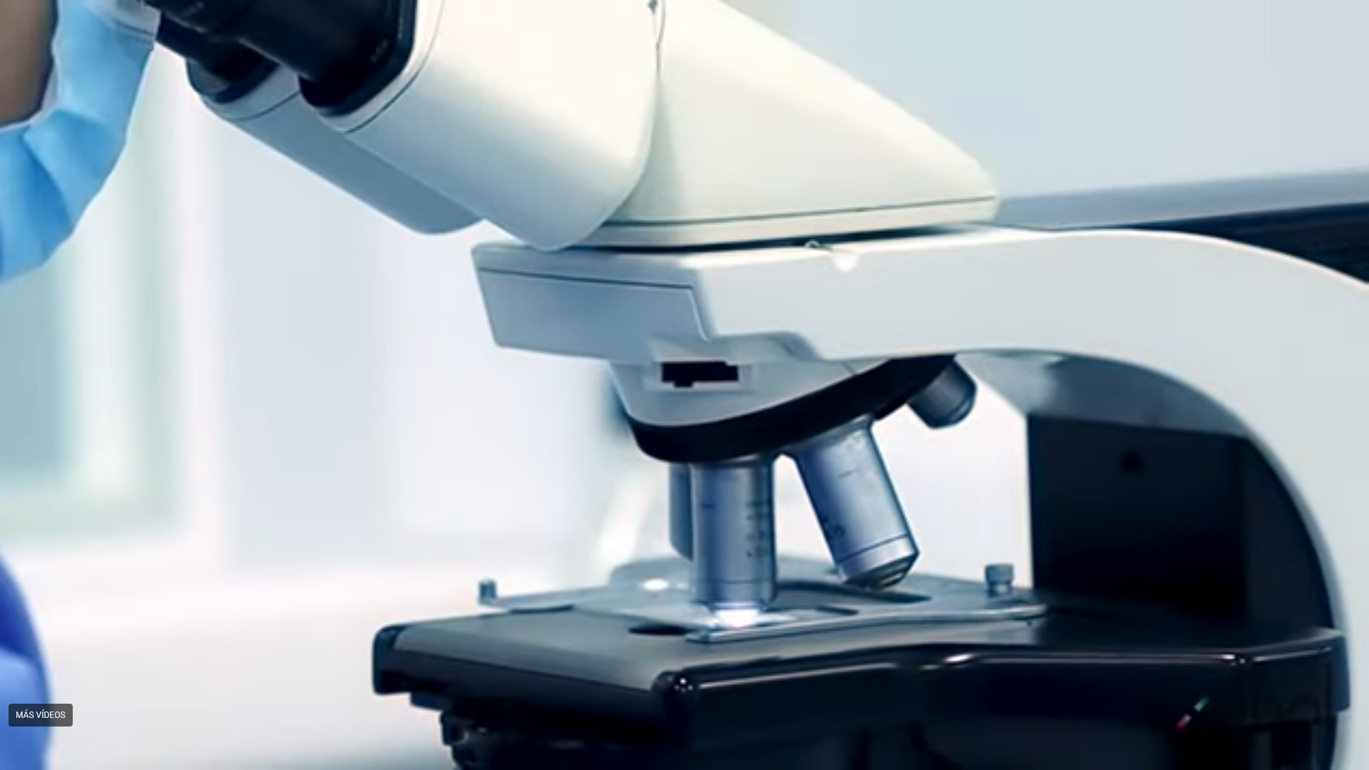 Microscope analysis